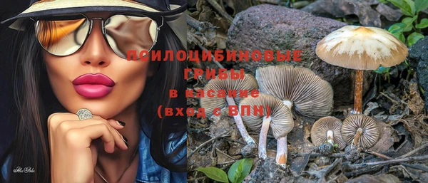 прущая мука Богданович
