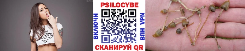 Галлюциногенные грибы GOLDEN TEACHER  Купить где  Городец 